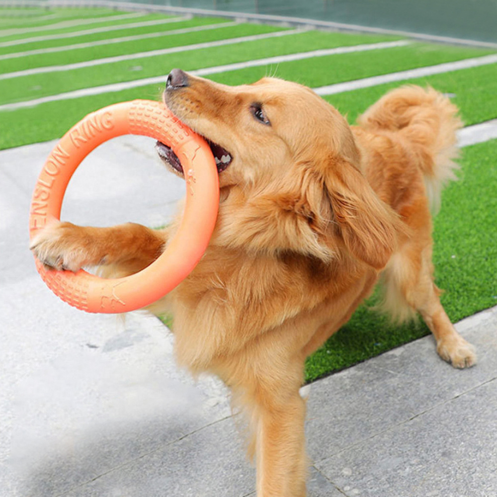 Suction Cup Dog Tug Toy - Anneau d'entraînement pour chiens, disque volant