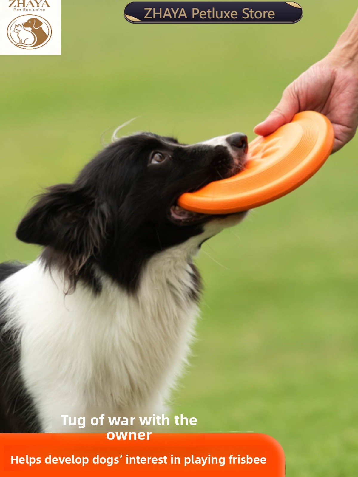 Flying Disc Dog Training Toy - Disque volant pour chien, souple, durable,