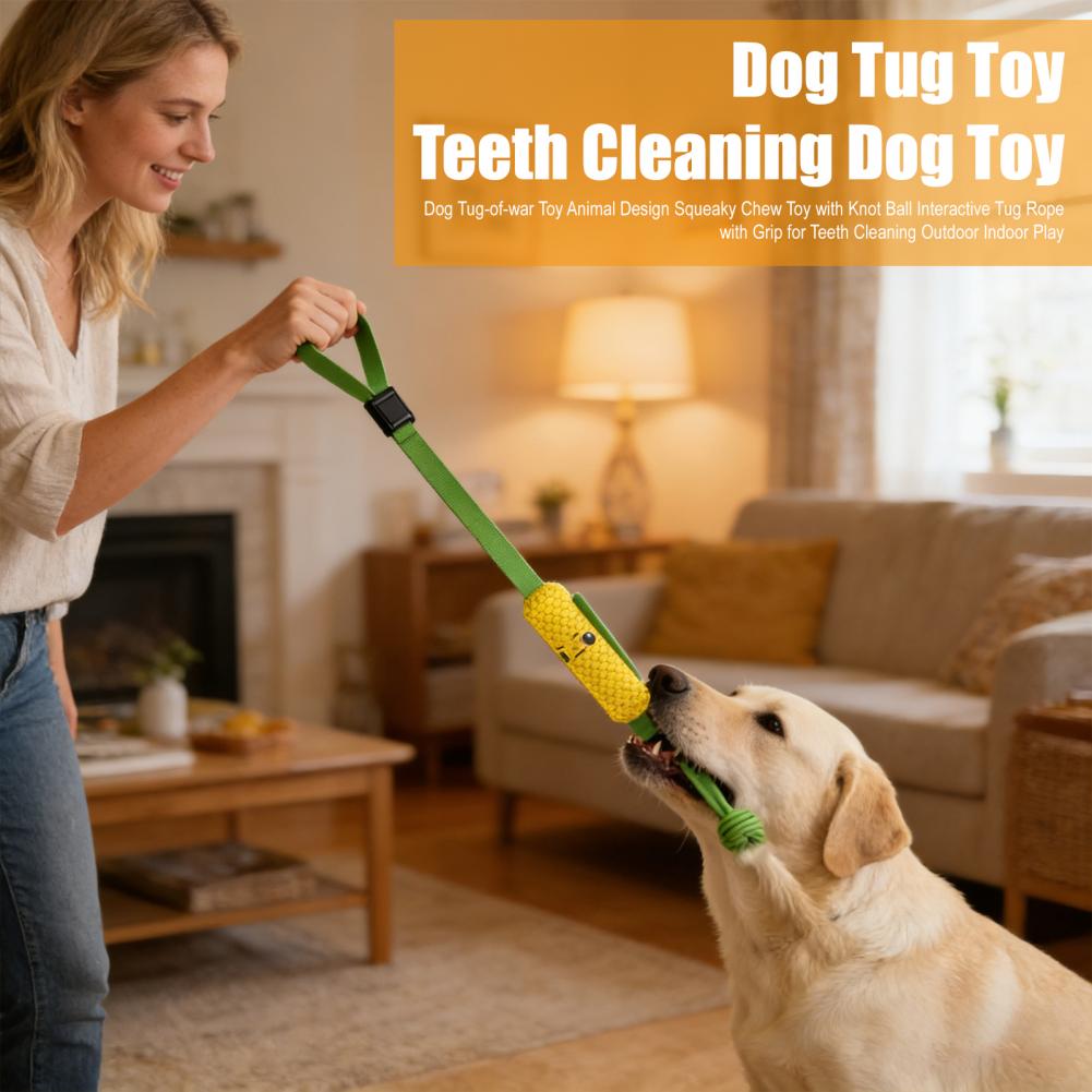 Suction Cup Dog Tug Toy - Jouet de tirage en corde Shark