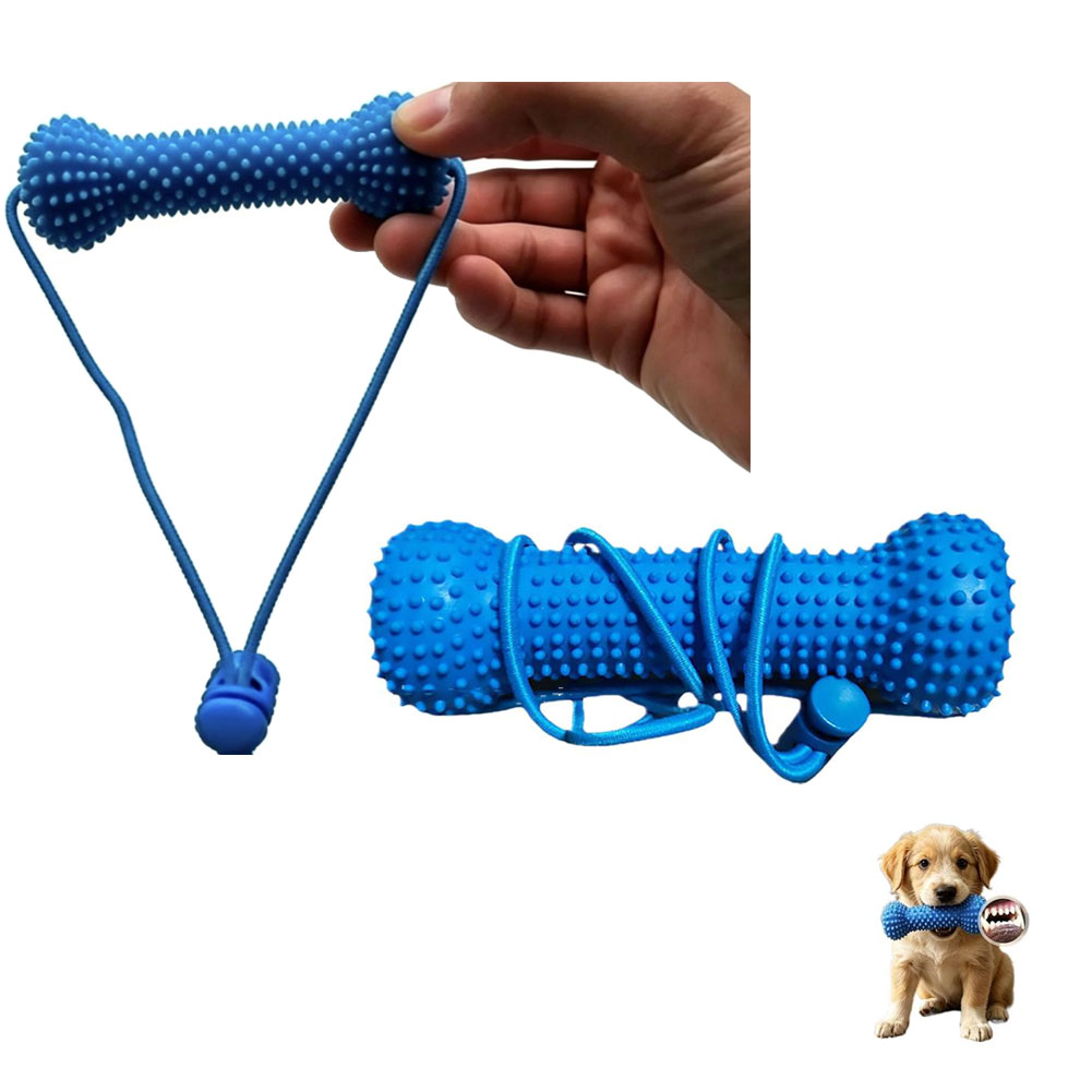 Teeth Cleaning Dog Chew Bone - Jouet à mâcher pour le nettoyage