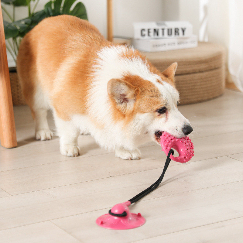 Suction Cup Dog Tug Toy - Jouets pour chiens ventouse en silicone