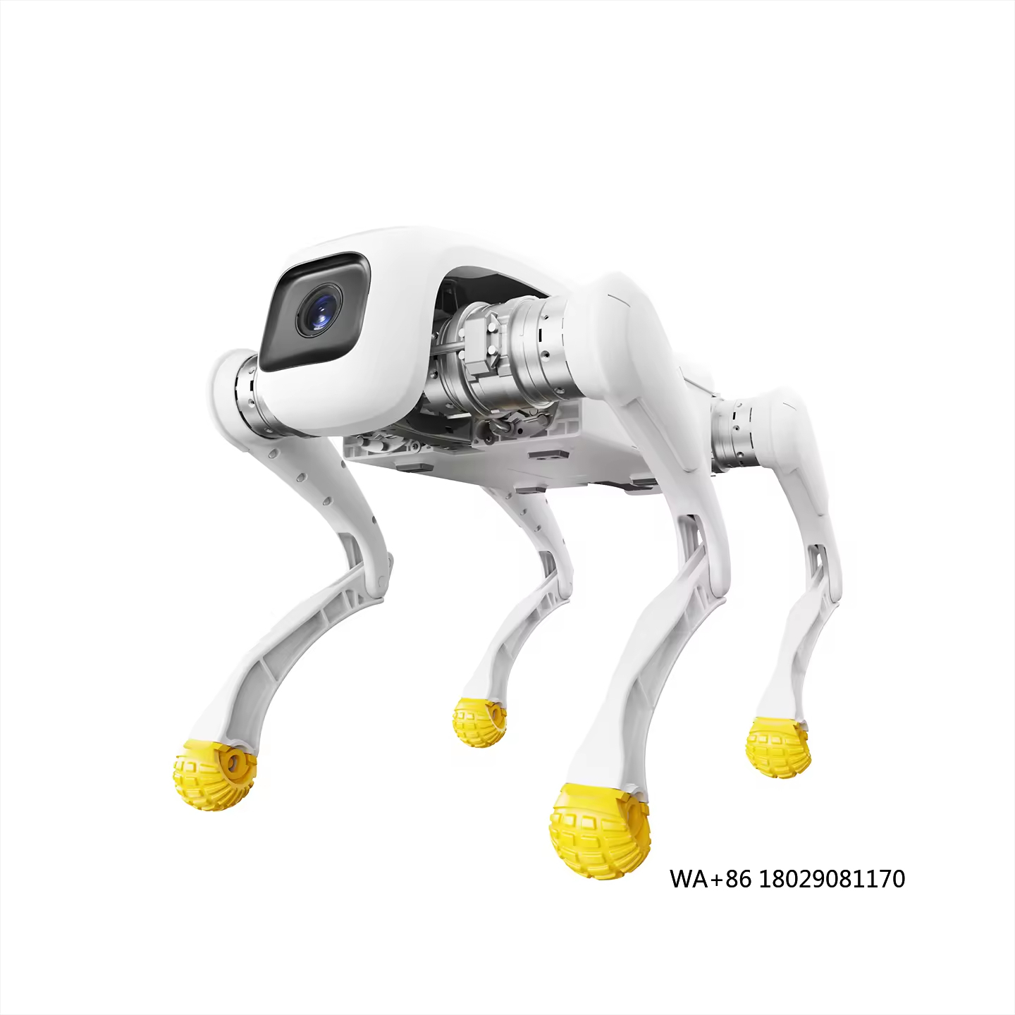 Dog Toys - Robot pour chien de conception, jouet