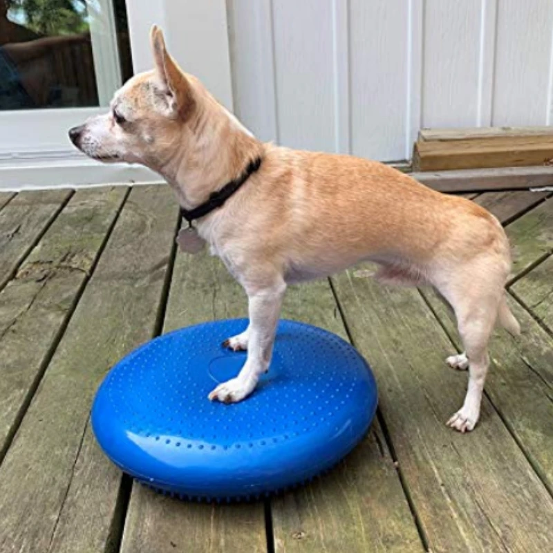 Flying Disc Dog Training Toy - Jouet d'entraînement des organes génitaux pour
