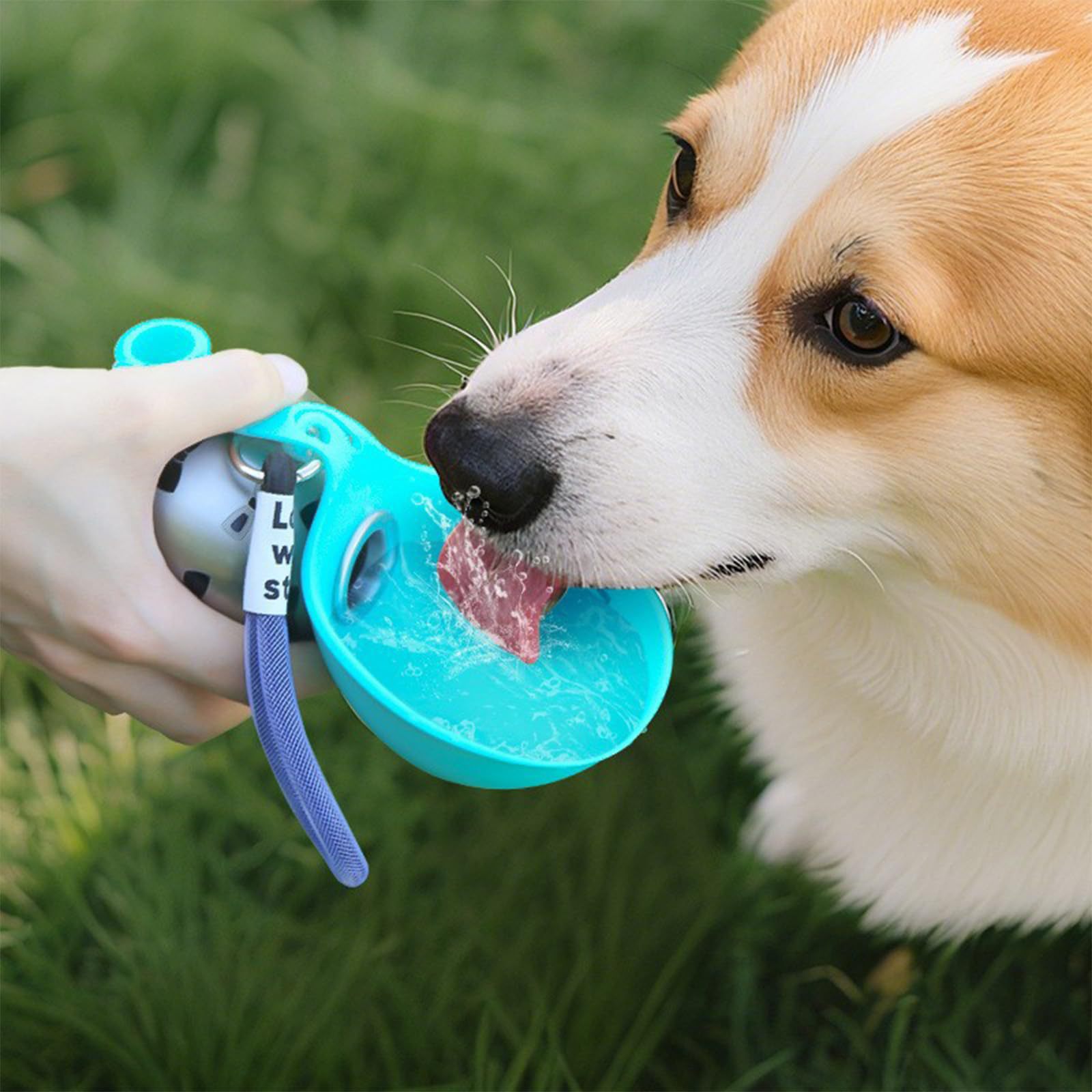 Pet Feeders - Distributeur d'eau portable en silicone ACG