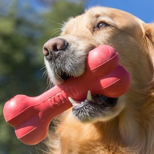 Rubber Treat Dispensing Dog Toy - Os à mâcher classique et durable