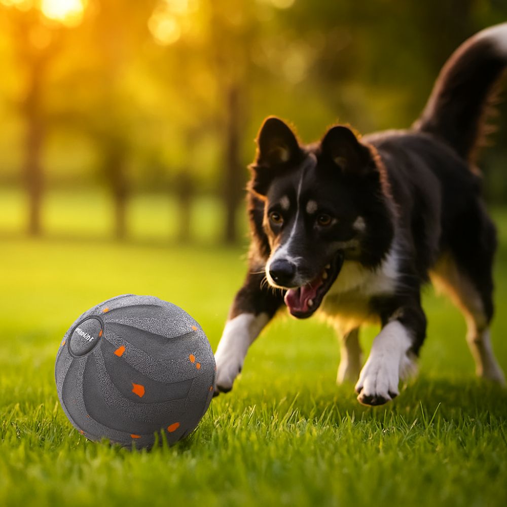 Automatic Moving Dog Ball - Balle de jouet intelligente pour chien,