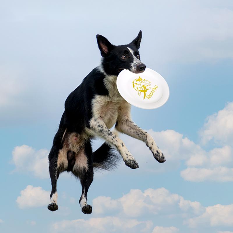 Flying Disc Dog Training Toy - /05/2019 volants vissés en forme de