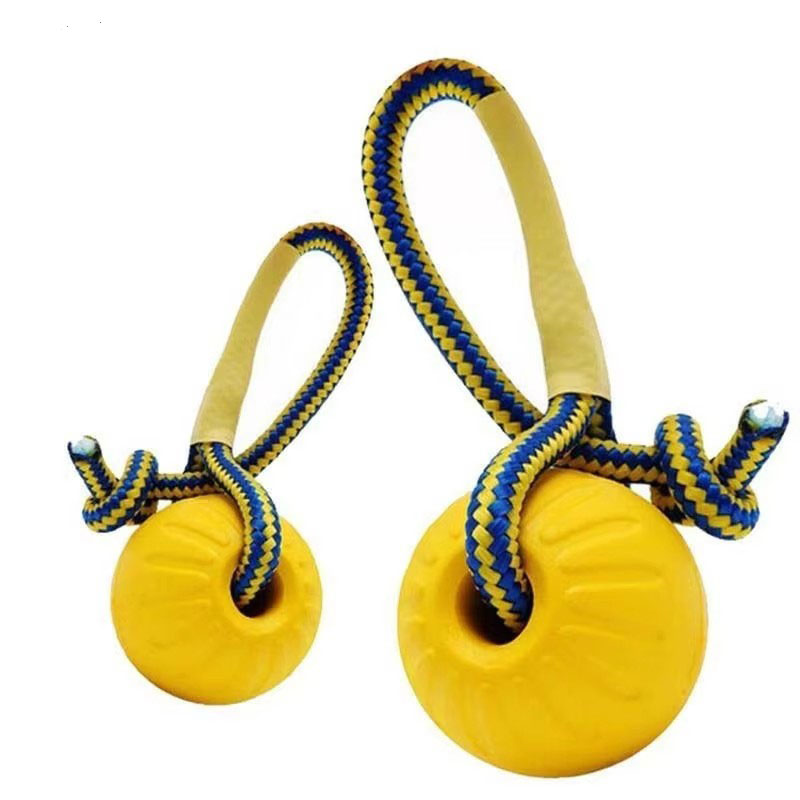 Indestructible Dog Chew Toy - 1 pièce Jouet à mâcher pour
