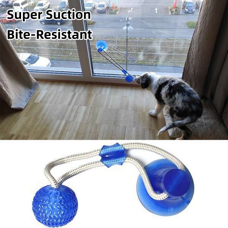 Suction Cup Dog Tug Toy - Jouet interactif pour chien à ventouse