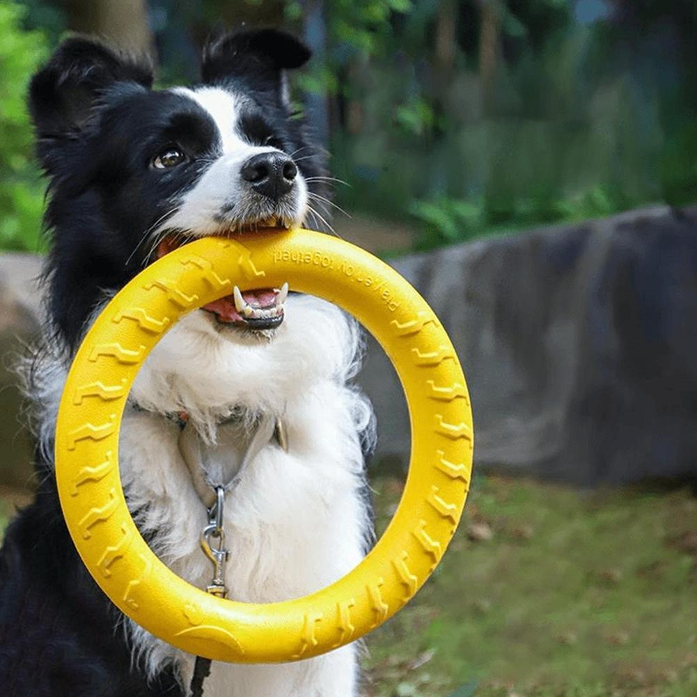 Indestructible Dog Chew Toy - Jouets pour chiens : Anneaux indestructibles