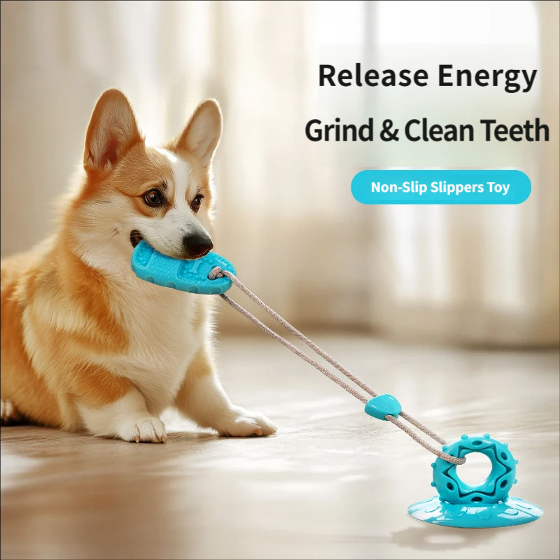 Suction Cup Dog Tug Toy - Jouet de traction pour chien à