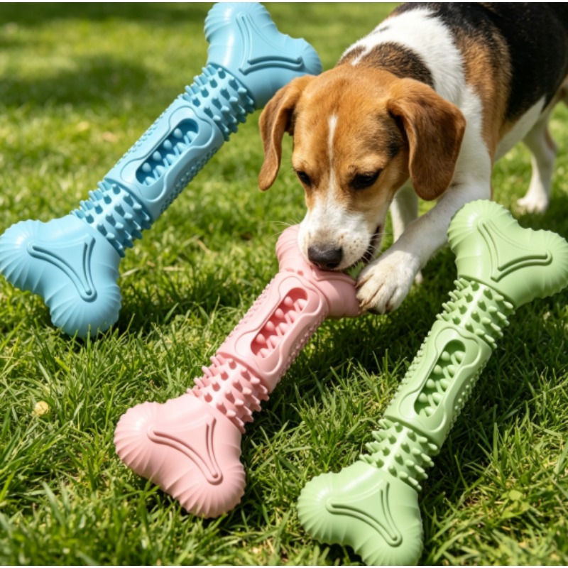 Teeth Cleaning Dog Chew Bone - Nouvel ensemble de jouets à mâcher