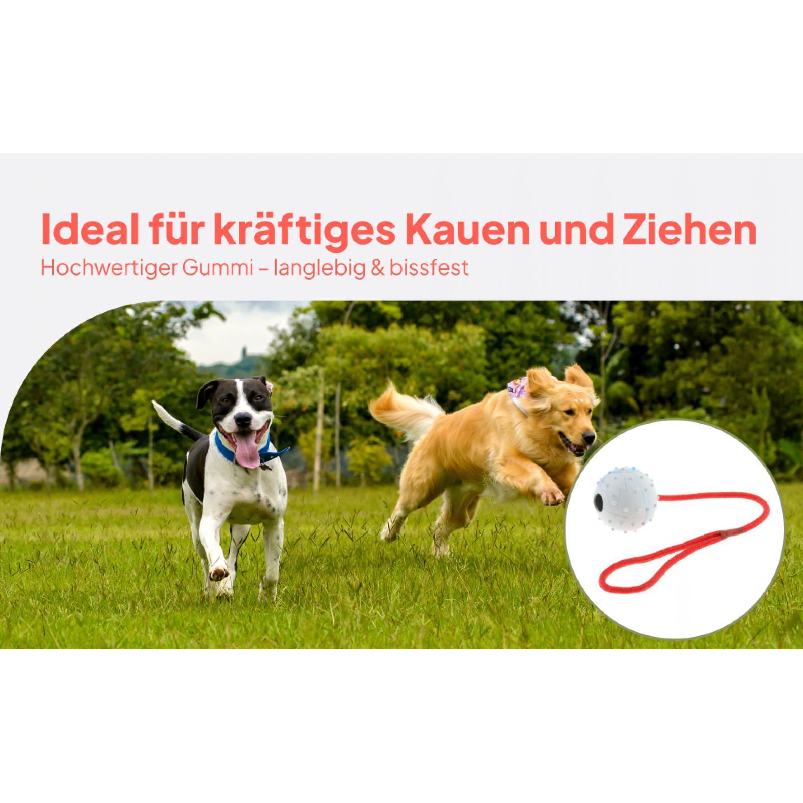 Rubber Treat Dispensing Dog Toy - Jouet d'entraînement pour animaux de compagnie,