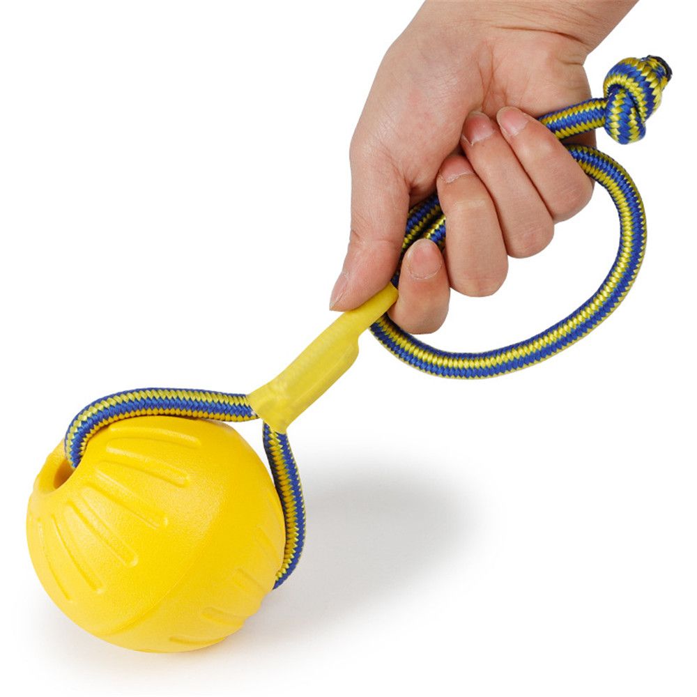 Balle en caoutchouc indestruct - Indestructible Dog Chew Toy avis et prix