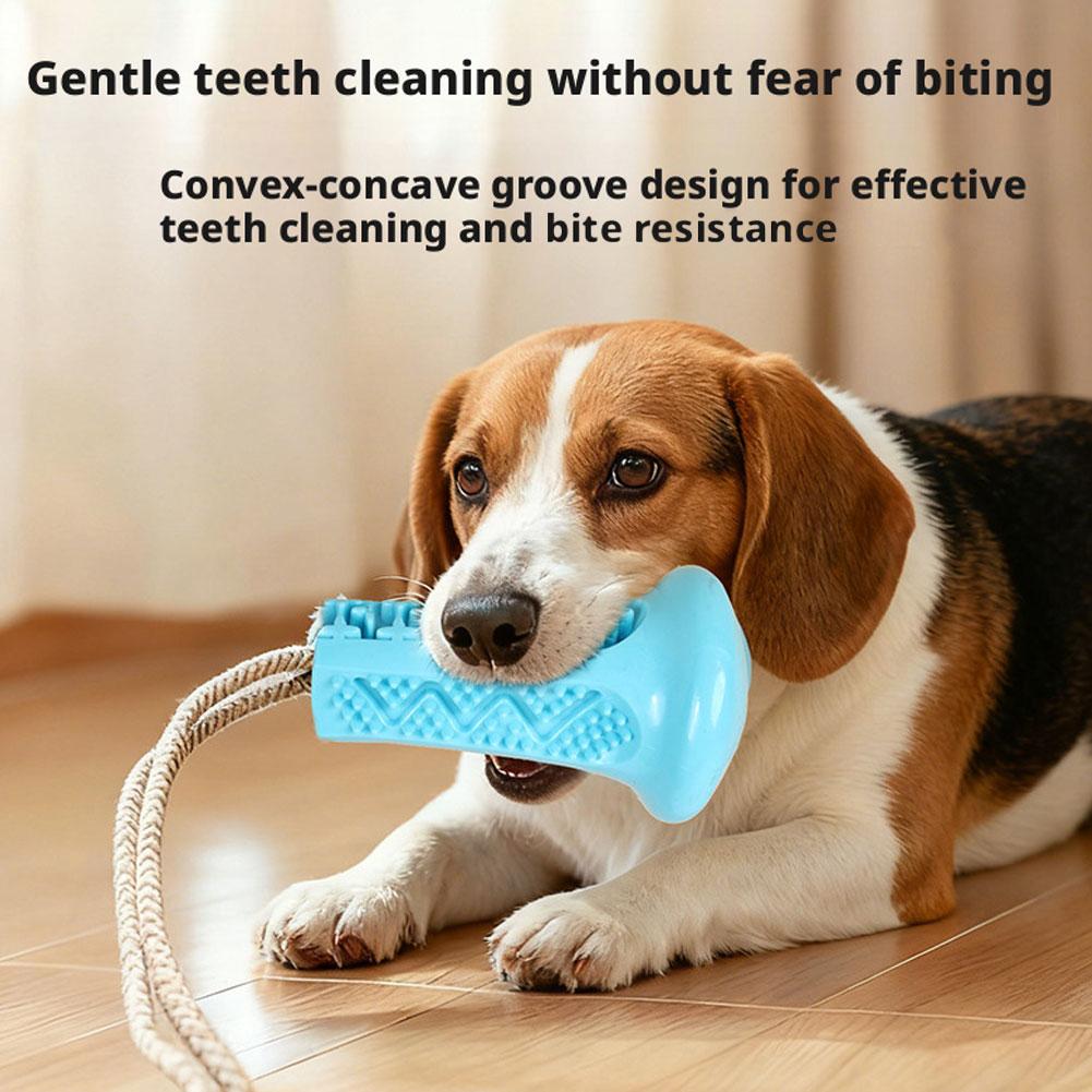 Jouet à mâcher pour chien à ve - Suction Cup Dog Tug Toy avis et prix