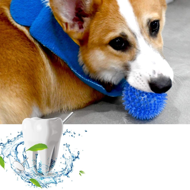 Balle de jouet pour animaux de - Indestructible Dog Chew Toy avis et prix