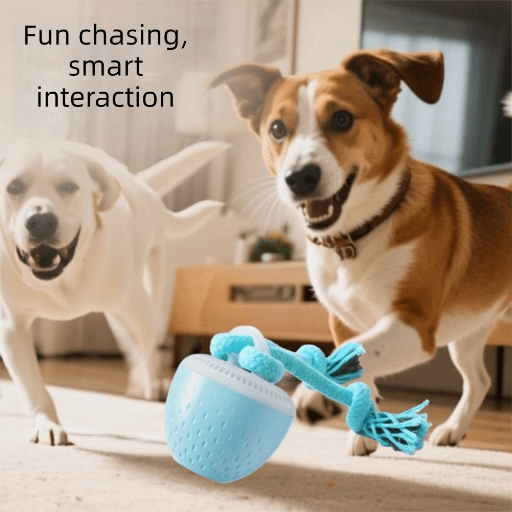 Balle de jeu intelligente pour - Automatic Moving Dog Ball avis et prix