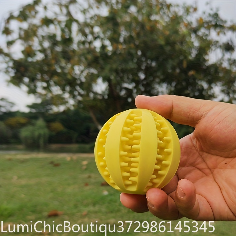 Jouet en caoutchouc pour chien - Rubber Treat Dispensing Dog Toy avis et prix