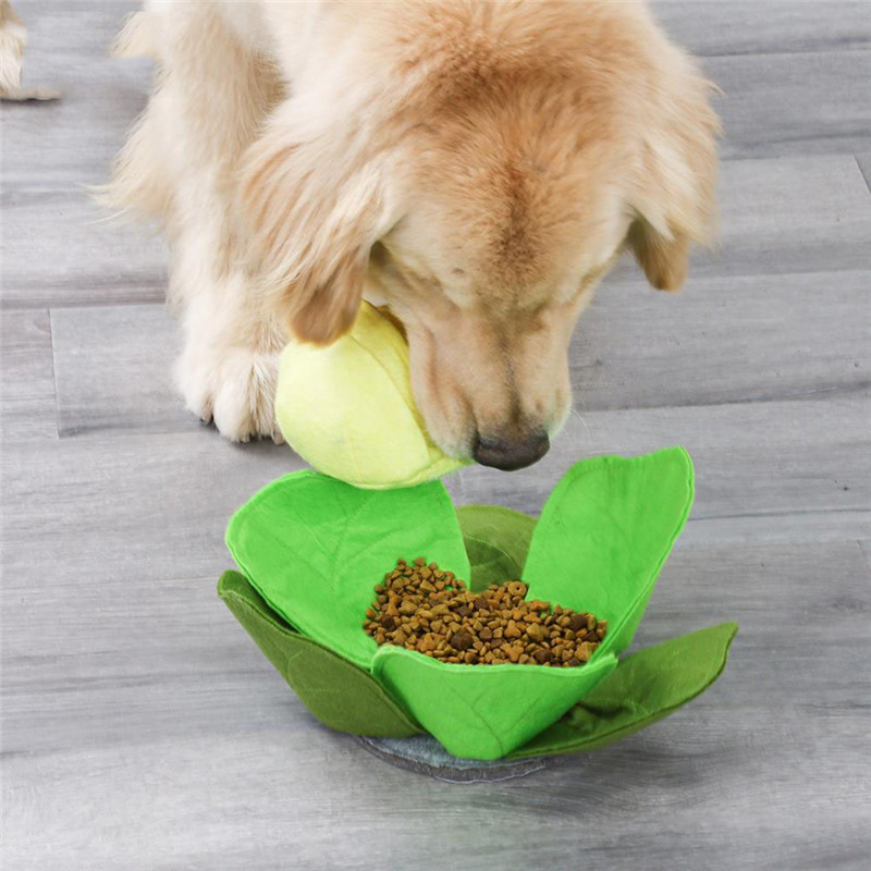 Polymères reniflants amovibles - Snuffle Mat For Dogs avis et prix