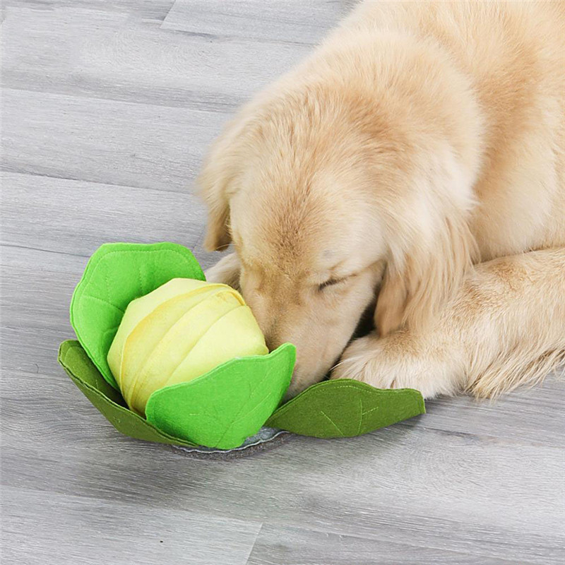 Polymères reniflants amovibles - Snuffle Mat For Dogs avis et prix