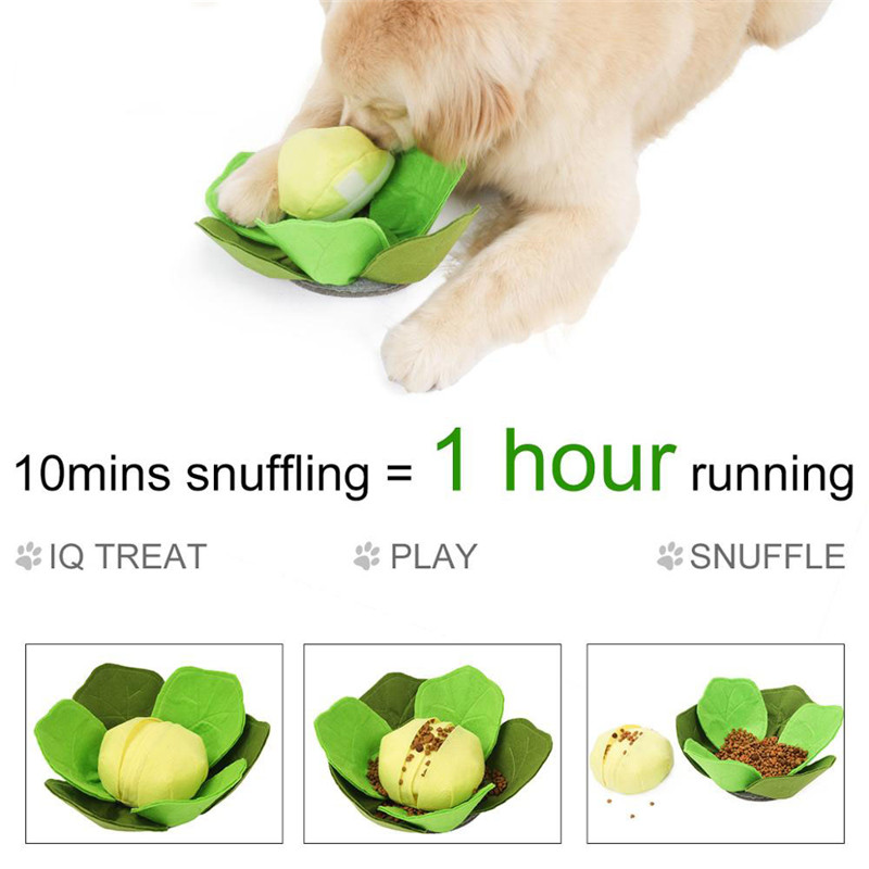 Polymères reniflants amovibles - Snuffle Mat For Dogs avis et prix