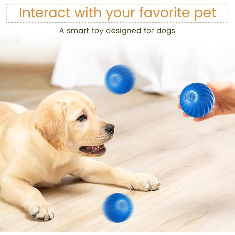 Jouet interactif pour chien US - Automatic Moving Dog Ball avis et prix