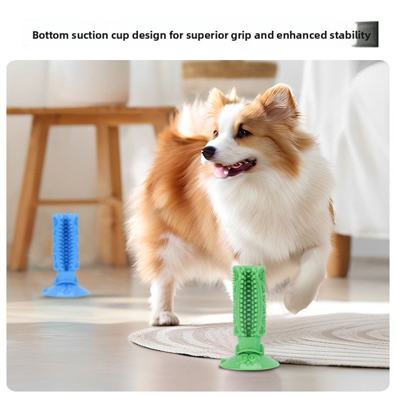 Jouet à mâcher pour le nettoya - Teeth Cleaning Dog Chew Bone avis et prix
