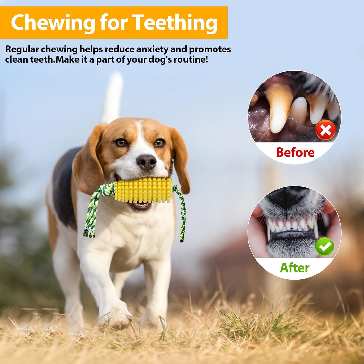 Jouet à mâcher pour chien en f - Dog Rope Toy Aggressive Chewers avis et prix