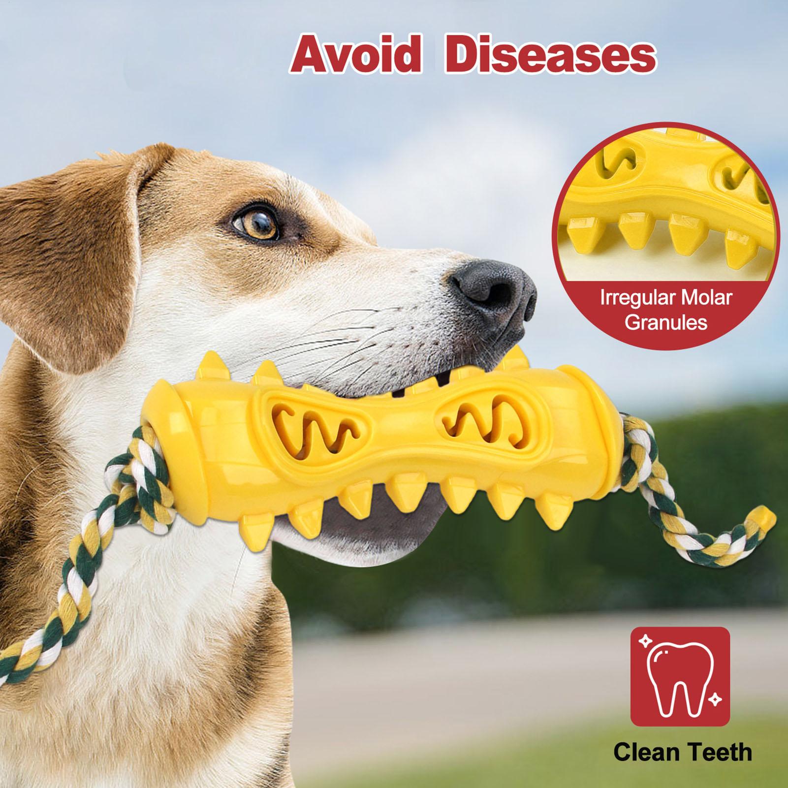 Jouets à mâcher pour mâcher ag - Dog Rope Toy Aggressive Chewers avis et prix