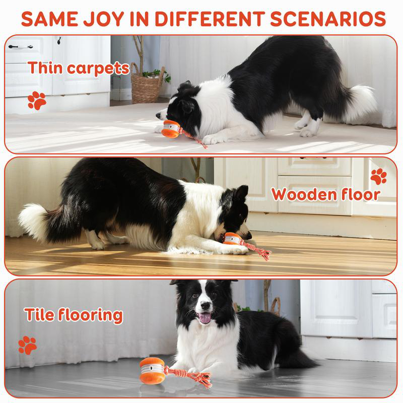 Balle interactive électrique i - Automatic Moving Dog Ball avis et prix