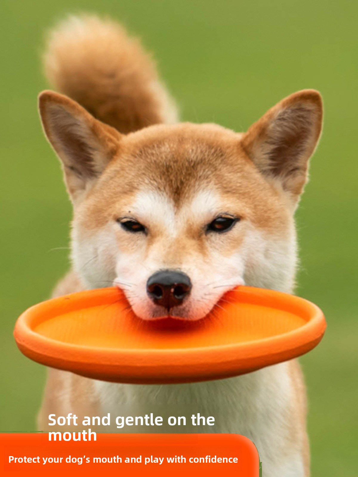 Disque volant pour chien, soup - Flying Disc Dog Training Toy avis et prix