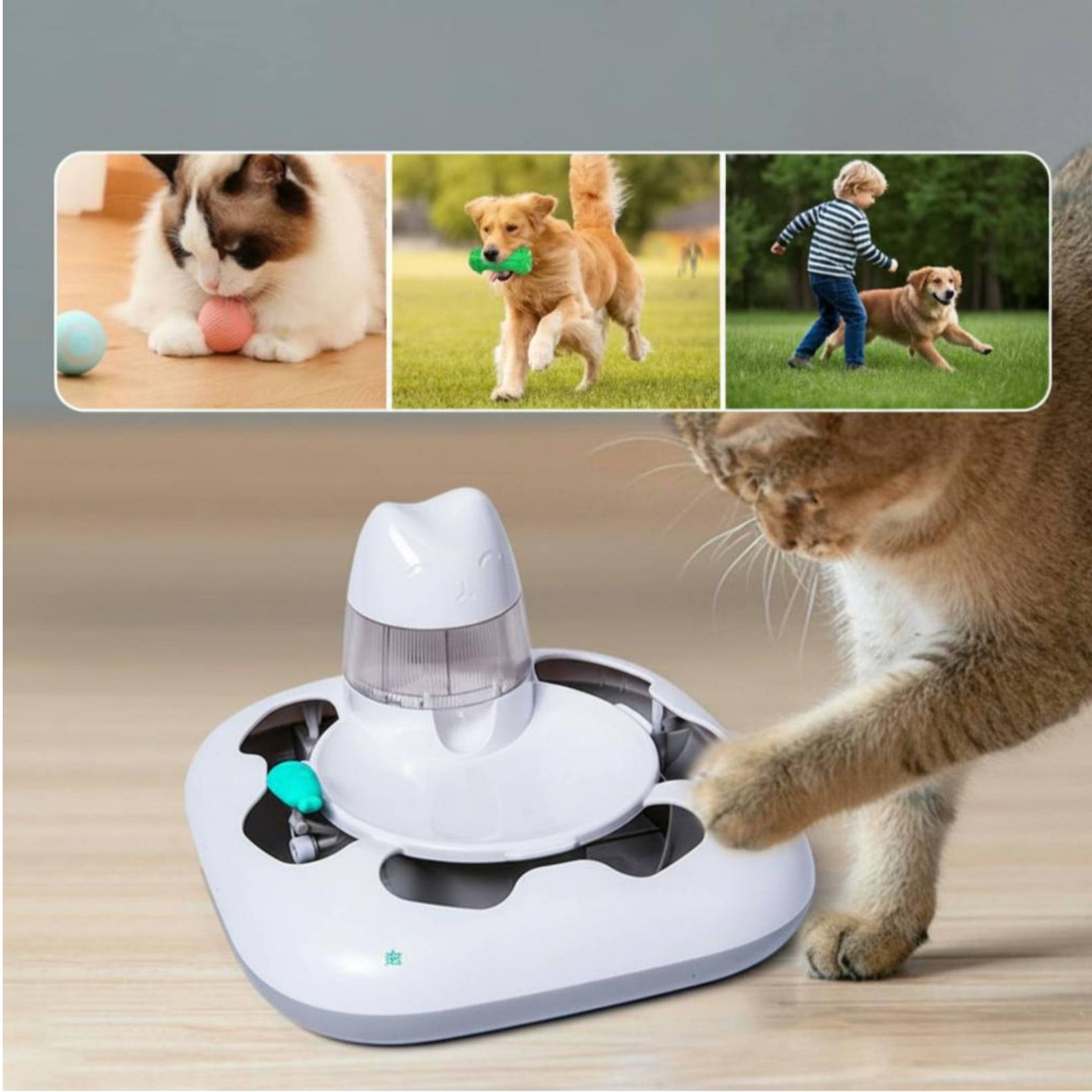 Machine de jeu interactive pou - Cat Toys avis et prix