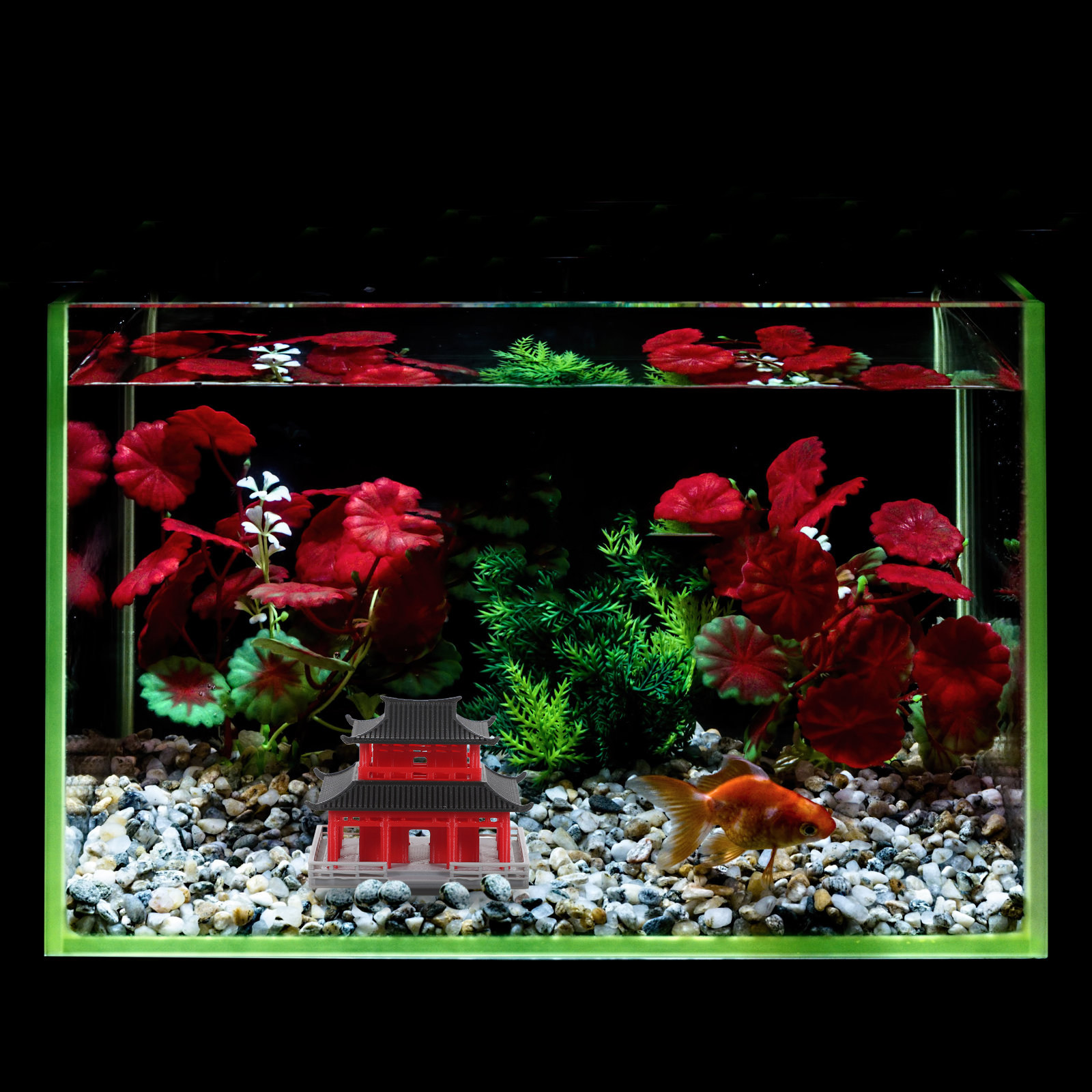 Mini pavillon pagode, architec - Aquarium avis et prix