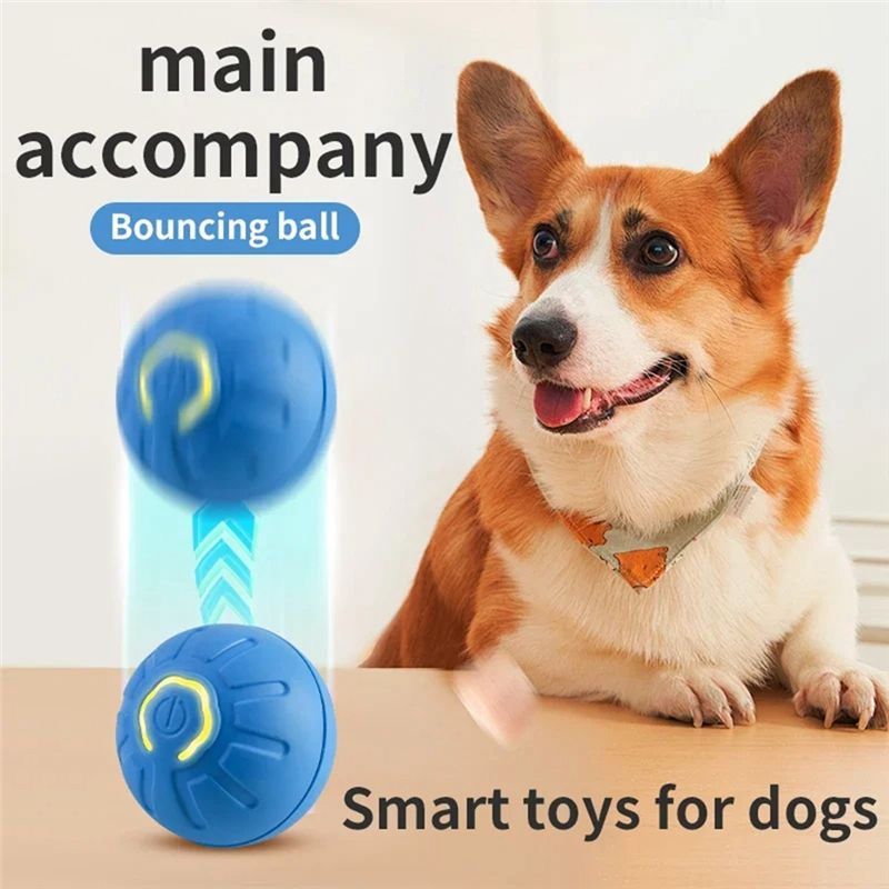 AT84-2PCS – Balle intelligente - Automatic Moving Dog Ball avis et prix