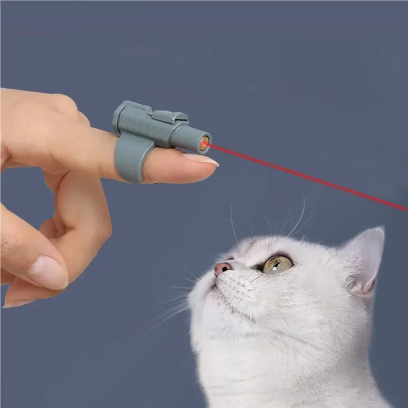 Jouet laser portable pour chat - Laser Pointer Cat Toy Automatic avis et prix