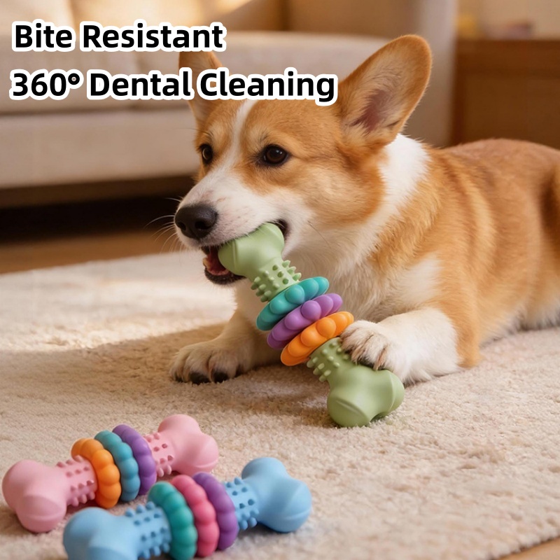 Jouet à mâcher durable en TPR  - Teeth Cleaning Dog Chew Bone avis et prix
