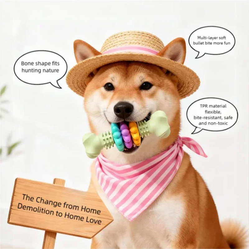 Jouet à mâcher durable en TPR  - Teeth Cleaning Dog Chew Bone avis et prix