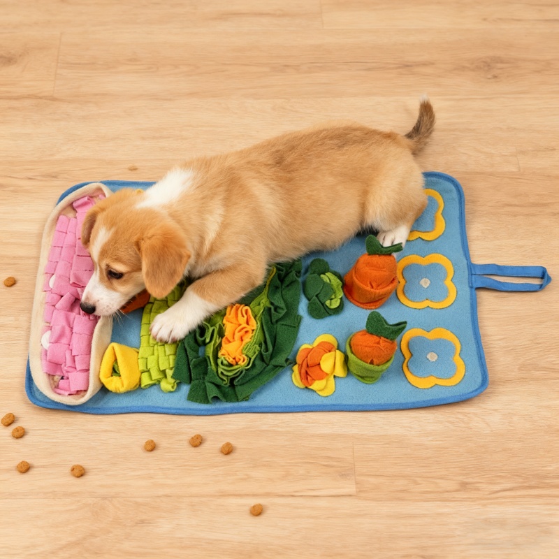 Tapis de reniflement interacti - Snuffle Mat For Dogs avis et prix