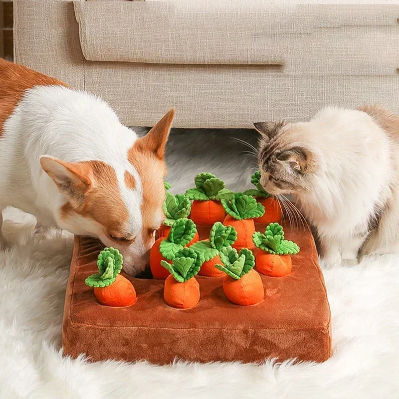 Tapis de jeu interactif pour c - Snuffle Mat For Dogs avis et prix