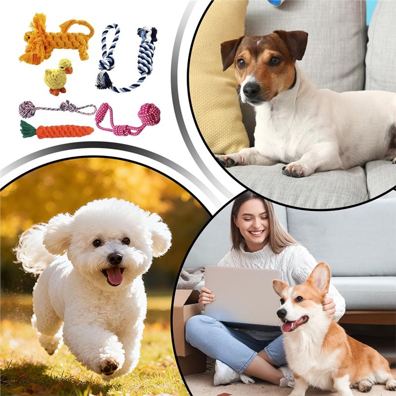 Corde pour chiens, 6 pièces, e - Dog Rope Toy Aggressive Chewers avis et prix