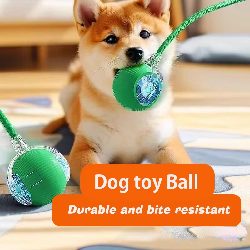 Nouveau jouet interactif pour  - Automatic Moving Dog Ball avis et prix