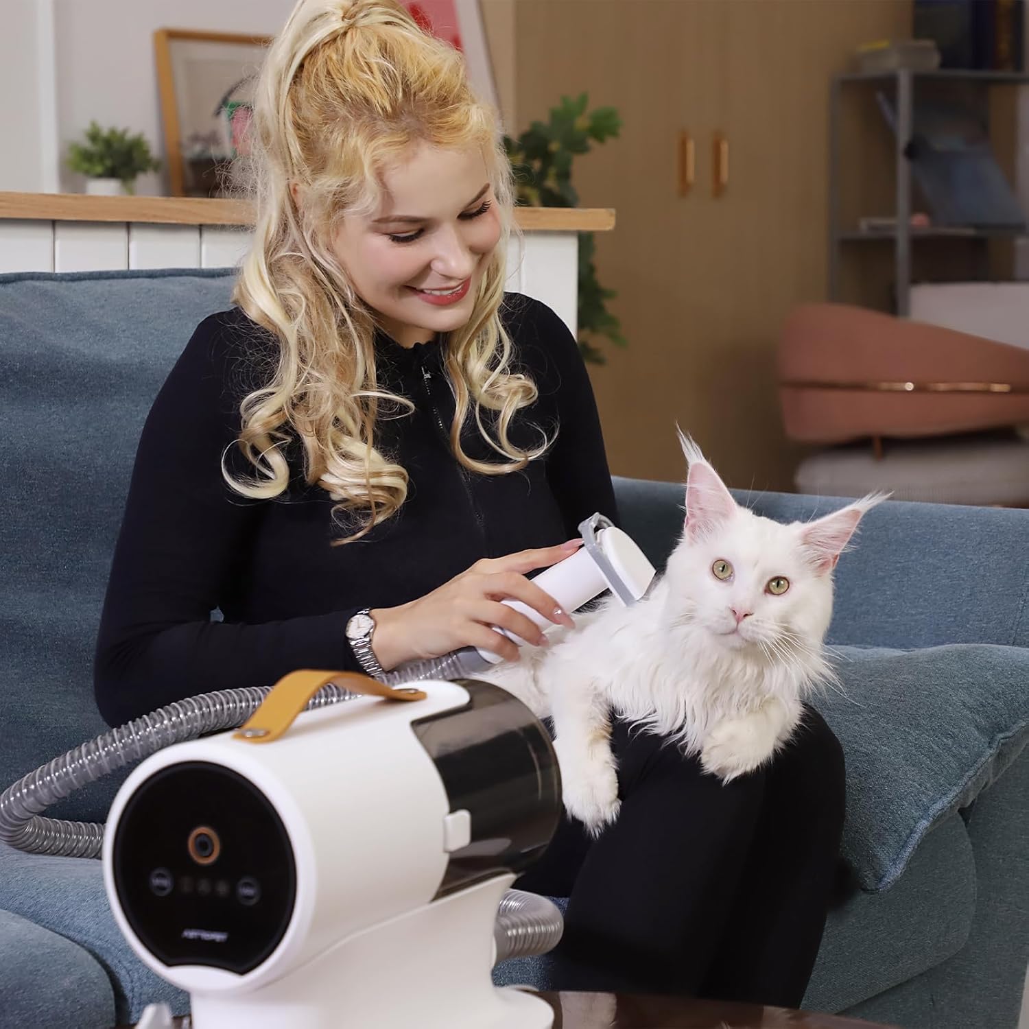 Aspirateur de toilettage pour  - Pet Grooming avis et prix