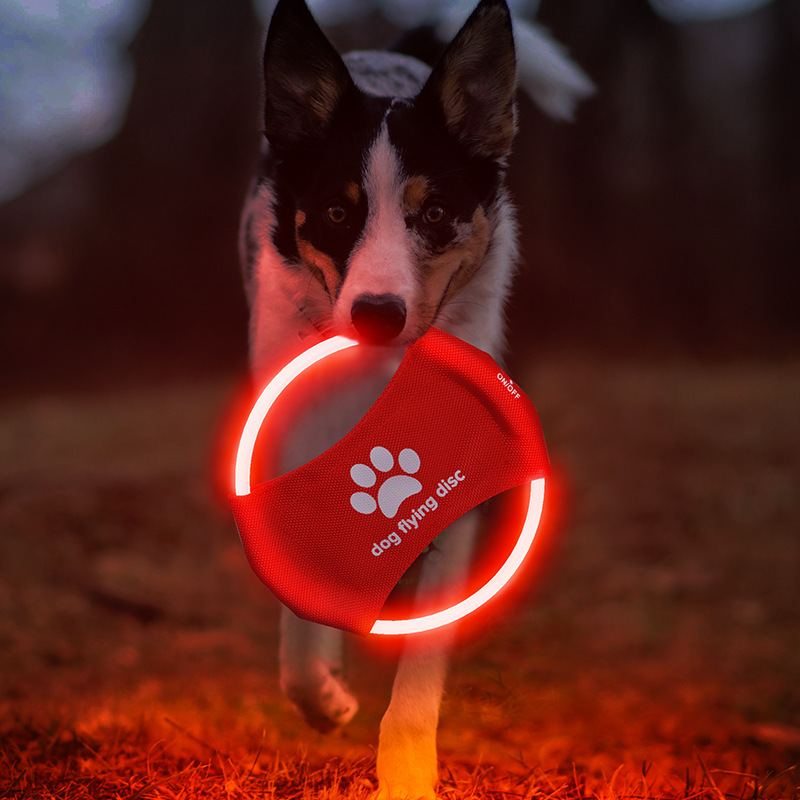 Disque volant pour chien à LED - Flying Disc Dog Training Toy avis et prix