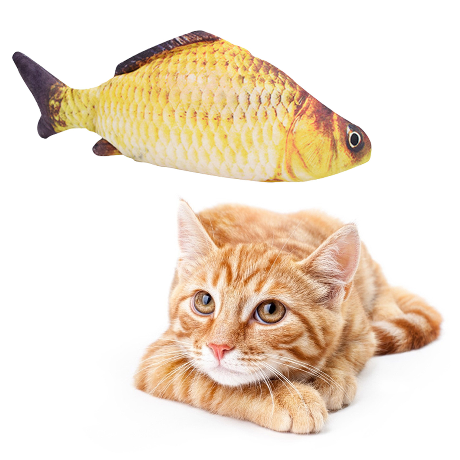 Jouet pour chat en forme de po - Electric Floppy Fish Dog Toy avis et prix