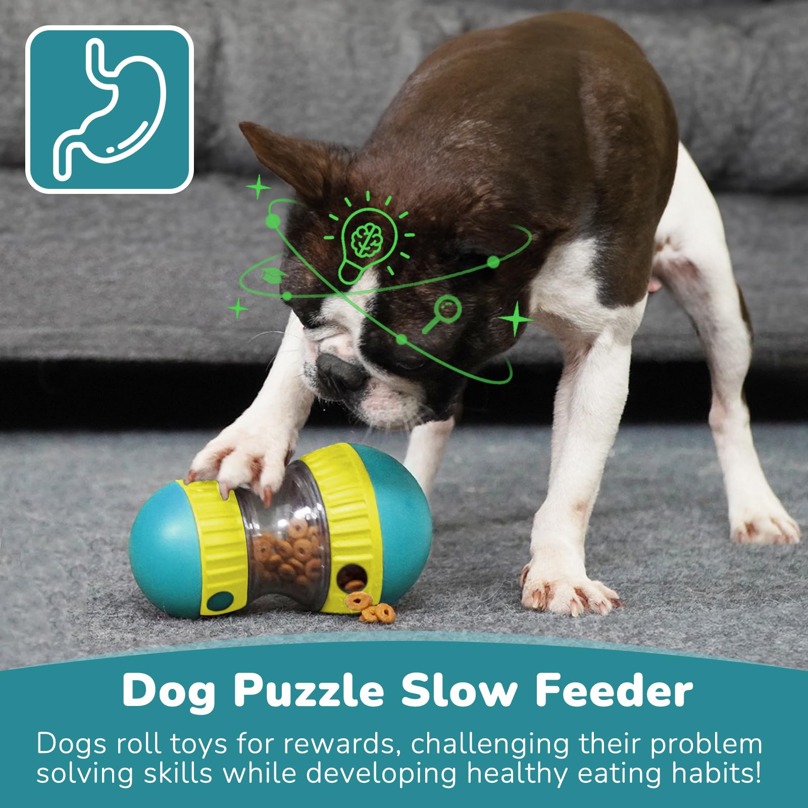 Jouets pour chiens et balle d' - Dog Puzzle Feeder Toy avis et prix