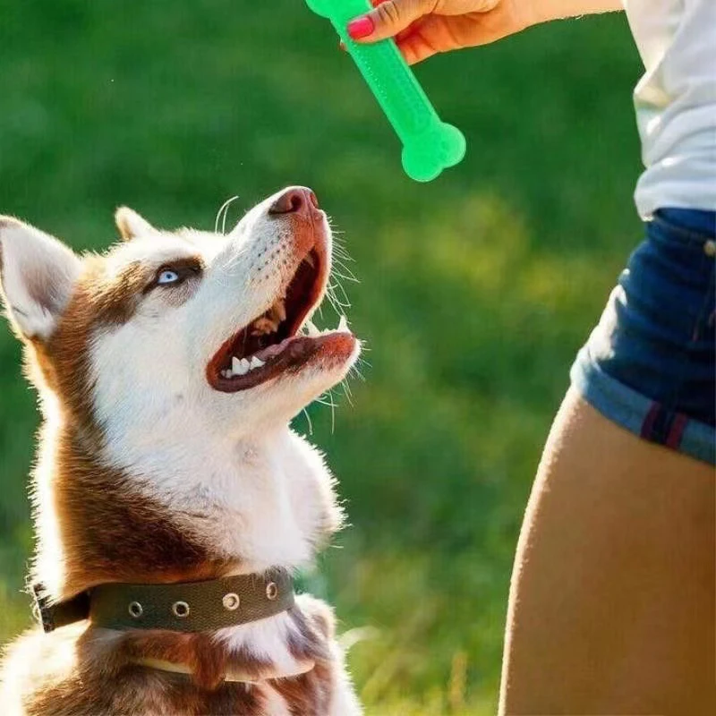 Jouet à mâcher en os de chien  - Teeth Cleaning Dog Chew Bone avis et prix