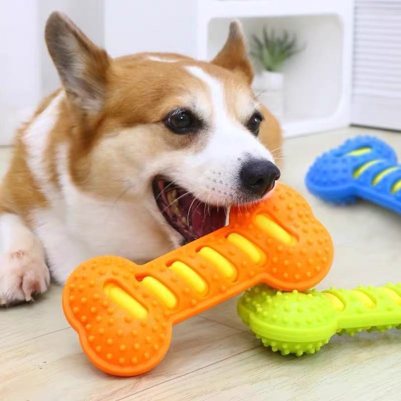 Bâton à mâcher en caoutchouc p - Teeth Cleaning Dog Chew Bone avis et prix