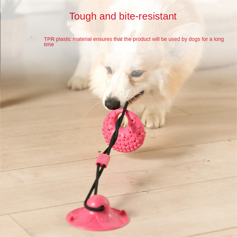 Jouets pour chiens ventouse en - Suction Cup Dog Tug Toy avis et prix