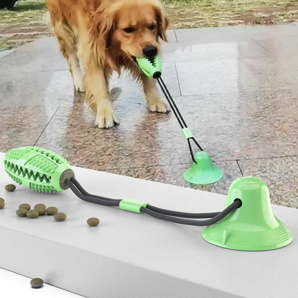 Jouets à mâcher pour chiens, p - Rubber Treat Dispensing Dog Toy avis et prix