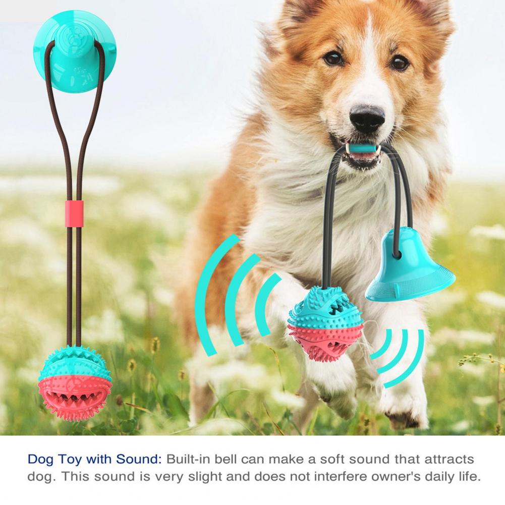 Jouets à mâcher pour chiens, p - Rubber Treat Dispensing Dog Toy avis et prix